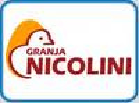 Nicolini