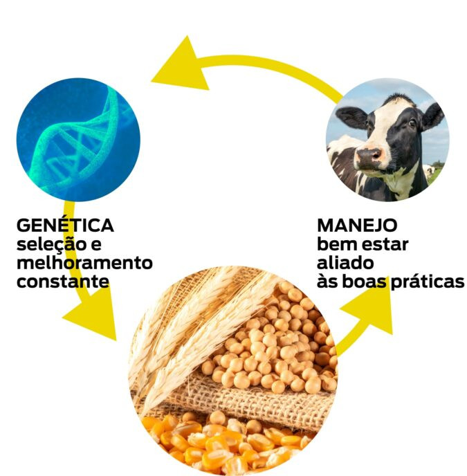 Tecnologia IMOTO para inovar na nutrição animal e melhor o desempenho